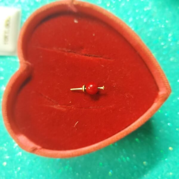 20230707_115547 CORAL BEBE